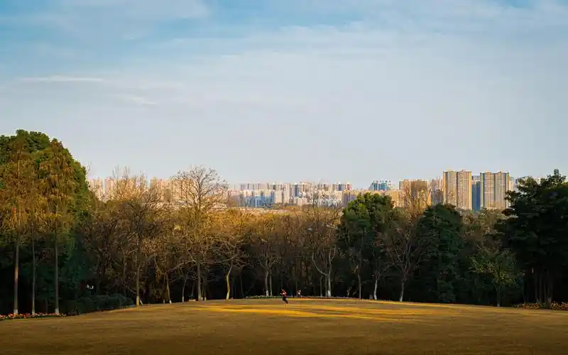 中级会计师报考资格与学历工作年限要求详解