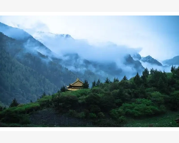 胃疼怎么办？中医推荐按这些穴位缓解！